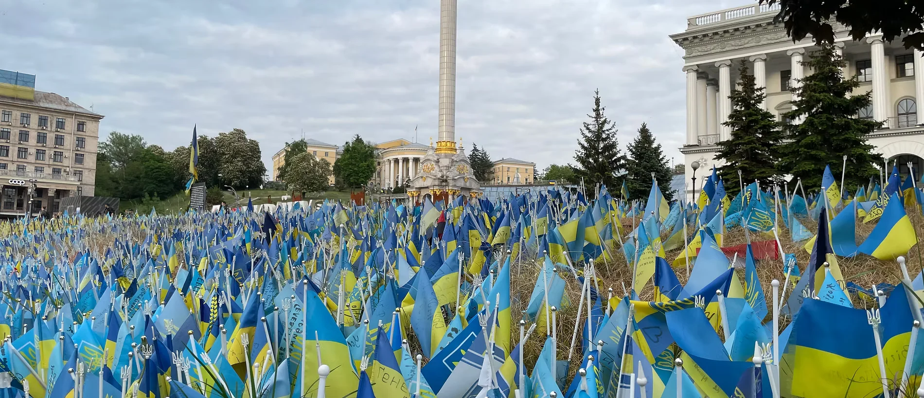 A field of Ukrainian flags planted on Maidan Nezalezhnosti, Kyiv, each marking a life lost to the war.